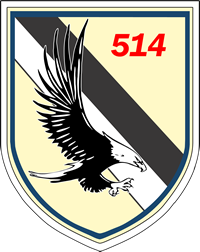 514 Squadron Patch