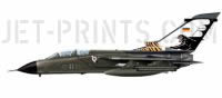 Tornado AG-51 NTM 1996