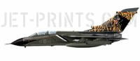 Tornado AG-51 NTM 1998